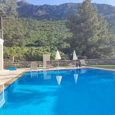 Villa Holly *