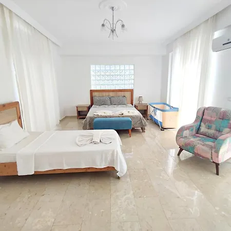 Holly Villa *
